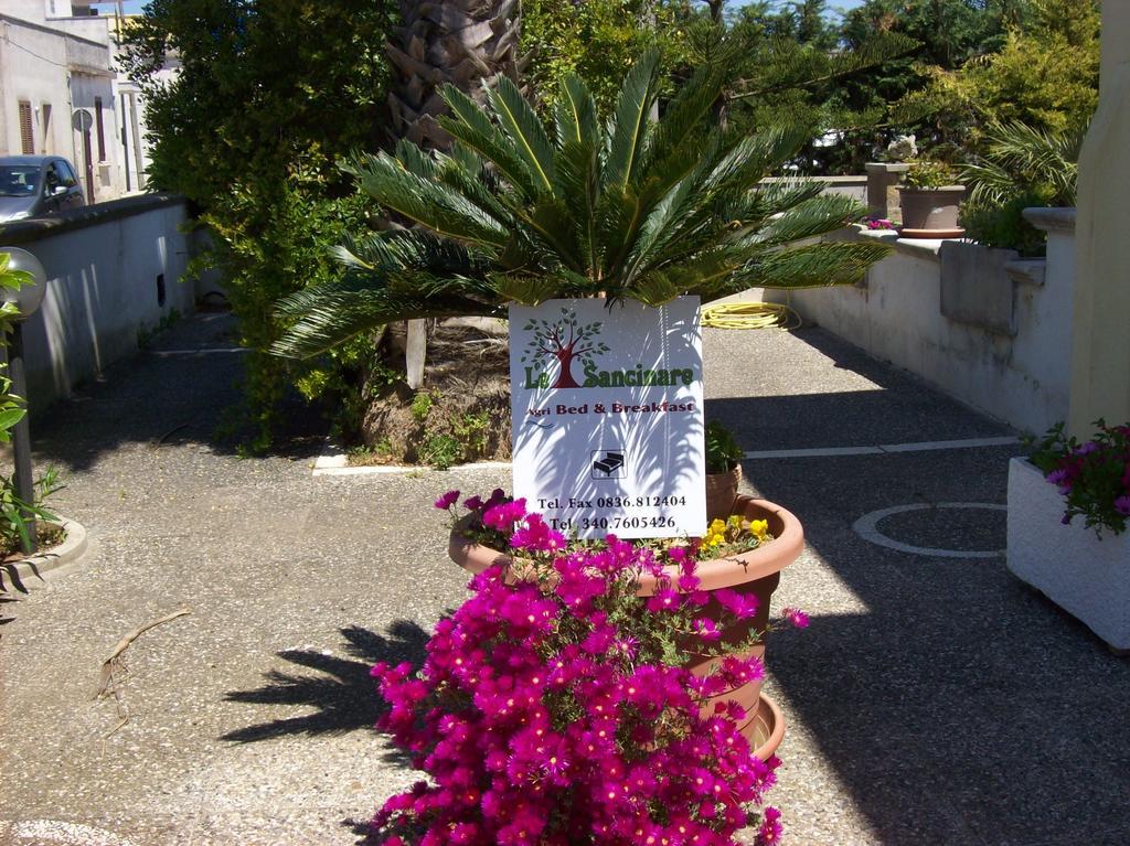 Otranto Le Sancinare Bed & Breakfast Casamassella Eksteriør bilde